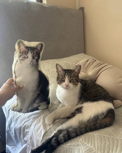 Cojín Personalizado con Foto – Diferentes Tamaños | Regalo Original