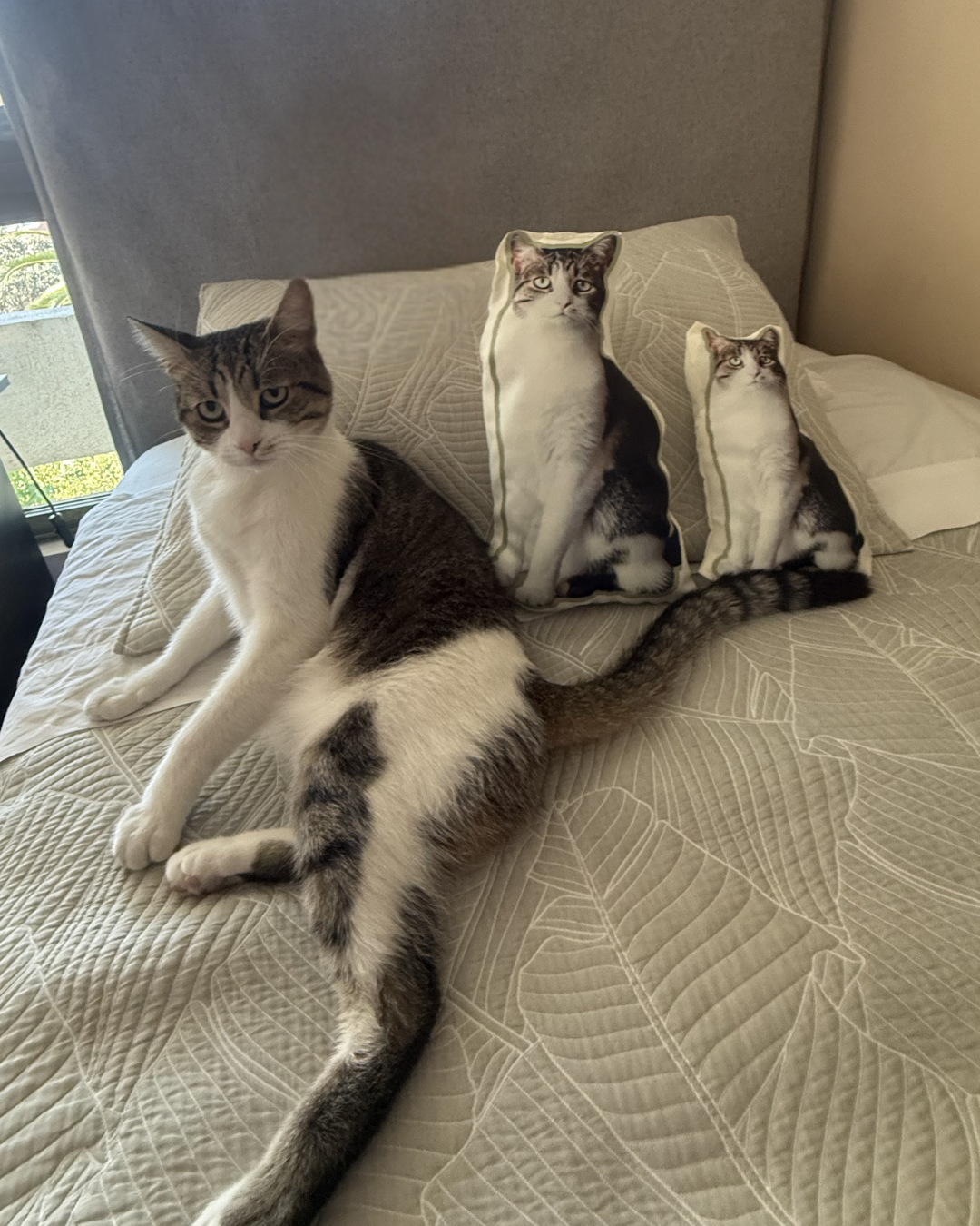 Cojín Personalizado con Foto – Diferentes Tamaños | Regalo Original